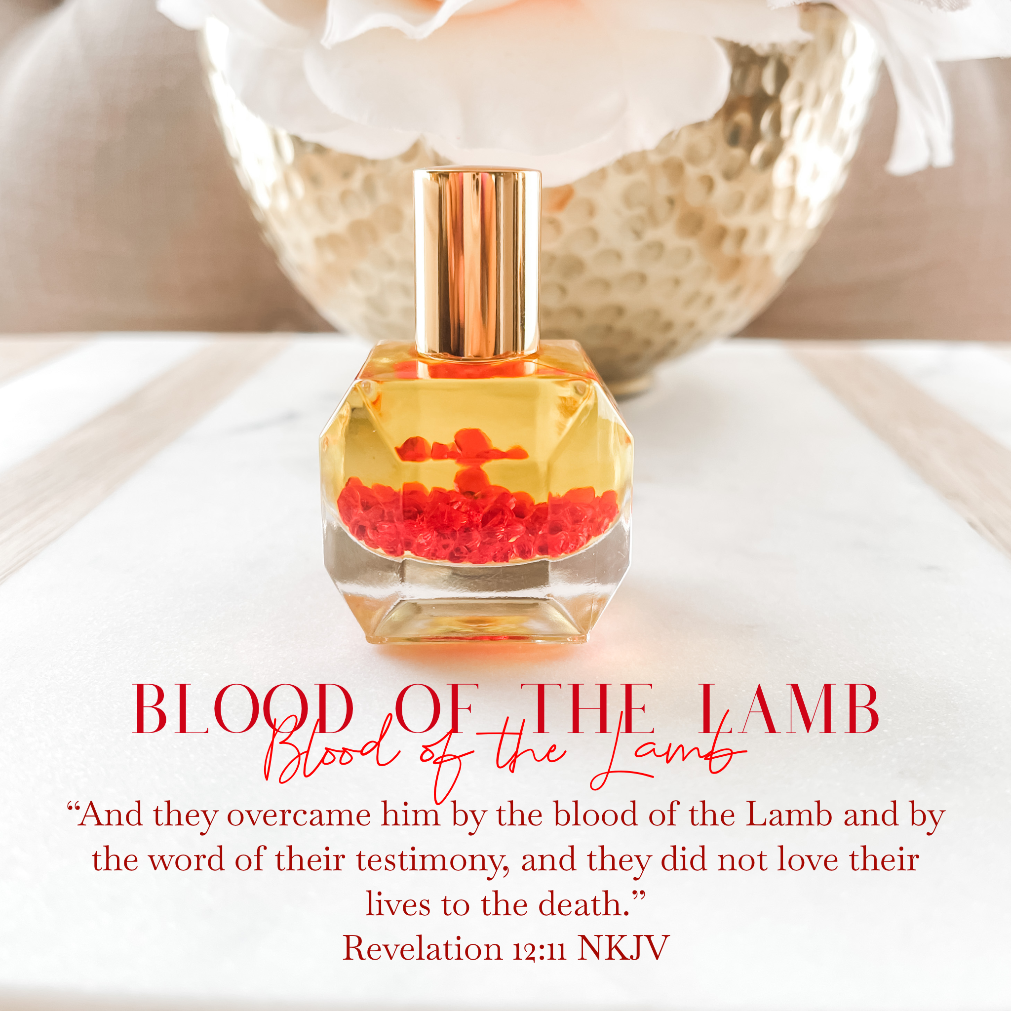 Lamb perfume best sale